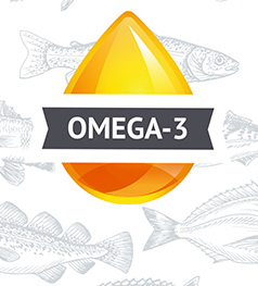 Omege 3 Fettsäuren