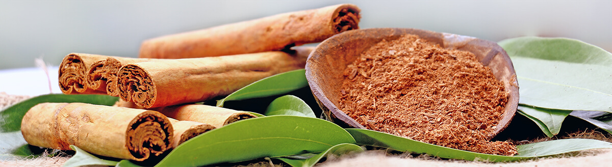 Ceylon Zimt und Cassia Zimt – Warum ist Zimt nicht gleich Zimt? Ceylon-Zimt